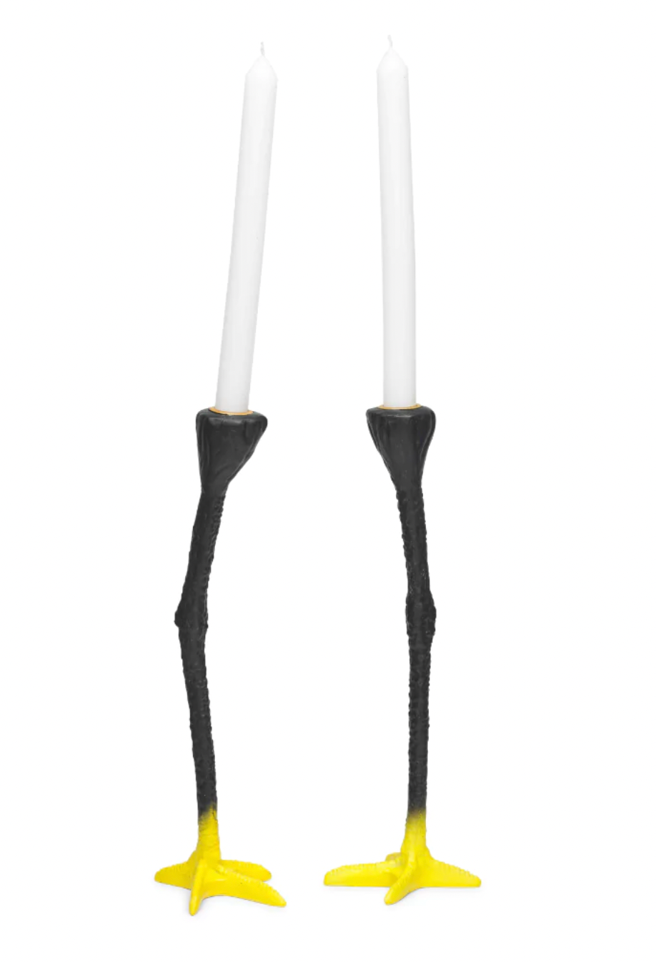 Long Legs Black/Yellow