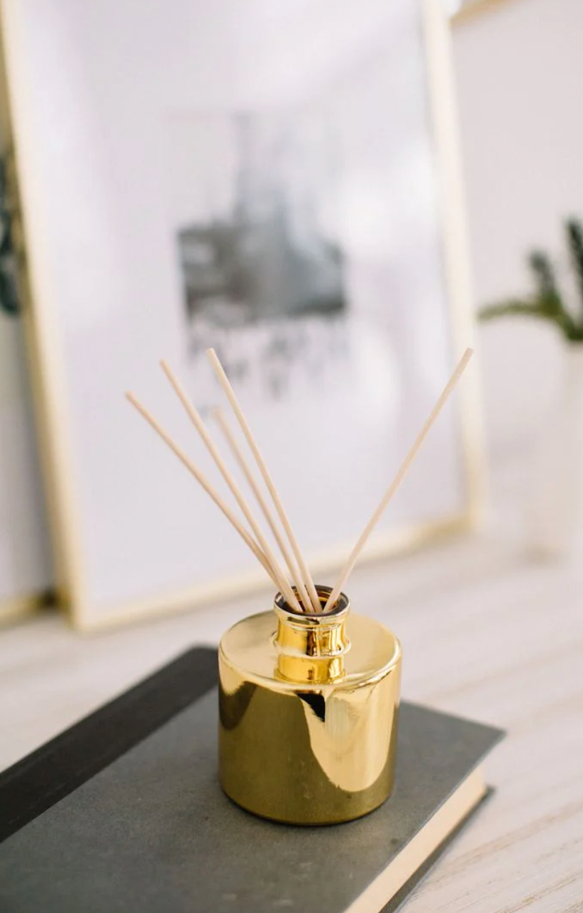 Frasier Fir Petite Gold Diffuser