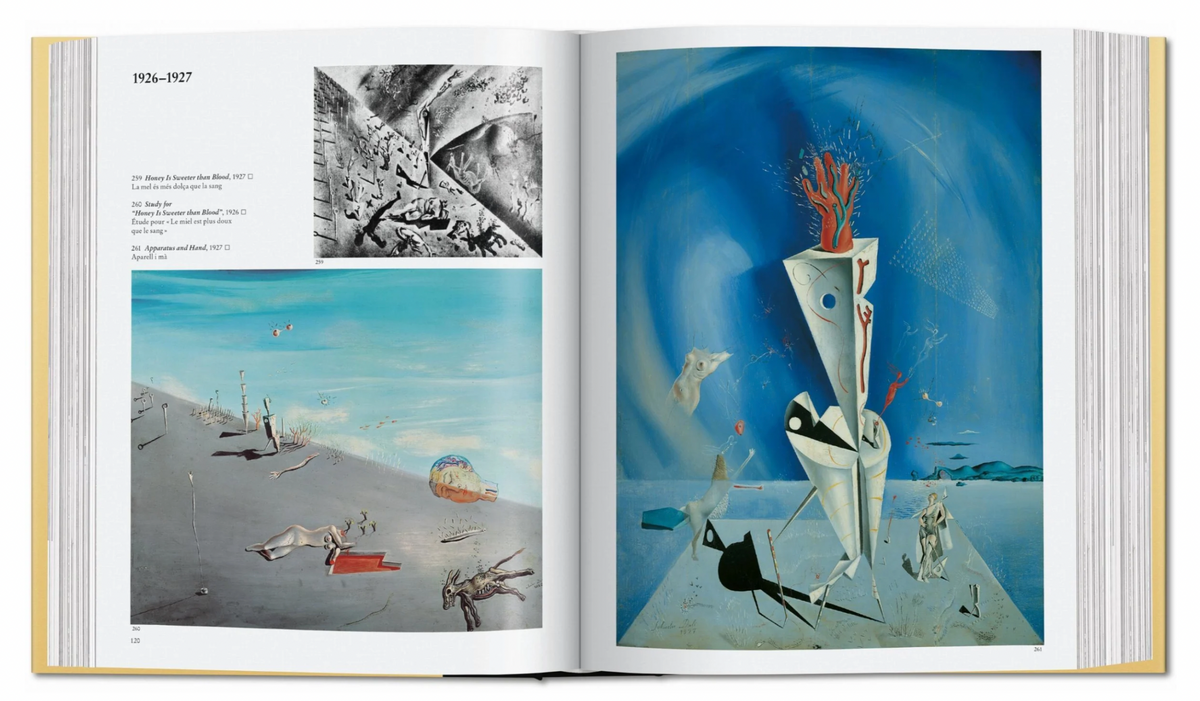 Dali the Paintings