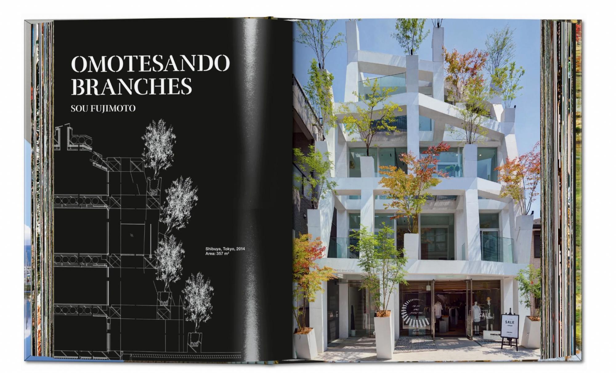 Contemporary Japanese Architecture 40th Ed