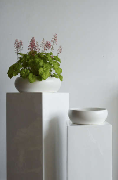 Simply Low Bowl White