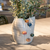 Aline Ceramic Vase
