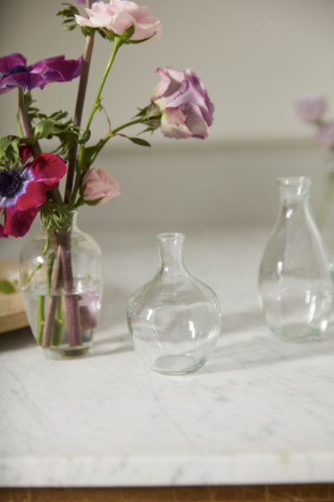 Marlena Budvase Clear