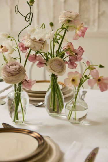 Marlena Budvase Clear