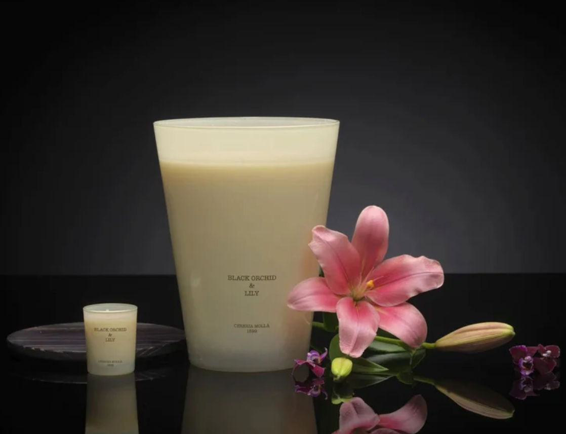 Black Orchid & Lily Ivory XXL Candle