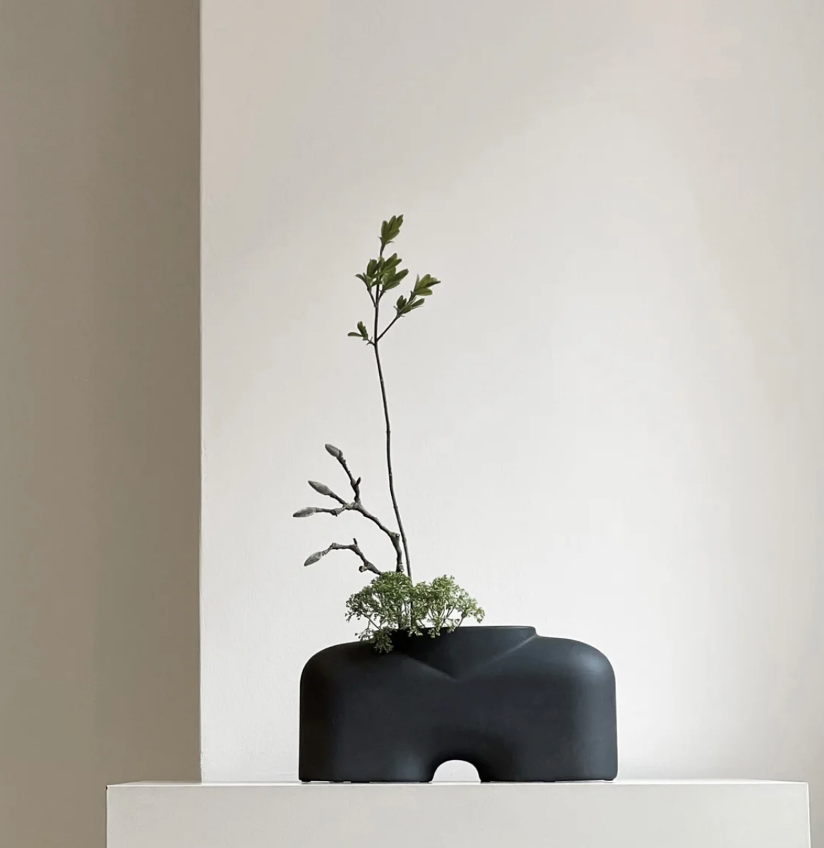 Cobra Fat Medio Coffee