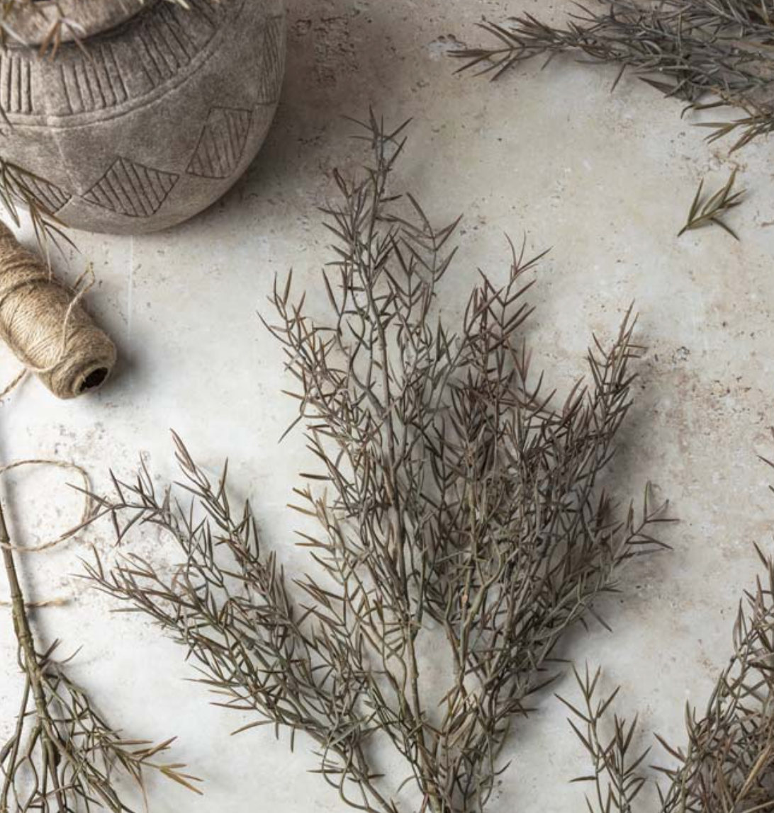 Honey Bracelet Rust Stem