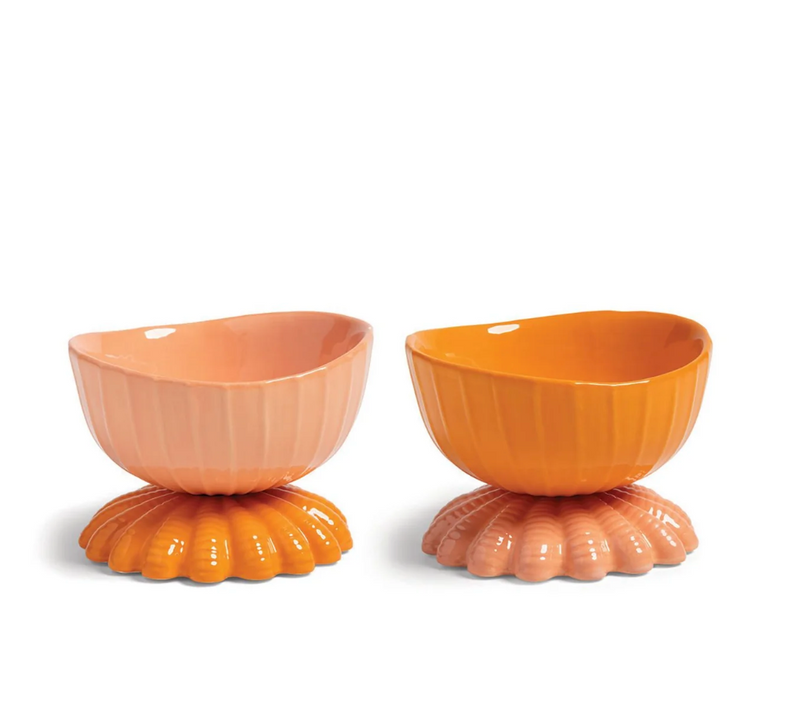 Coupe Clam Orange