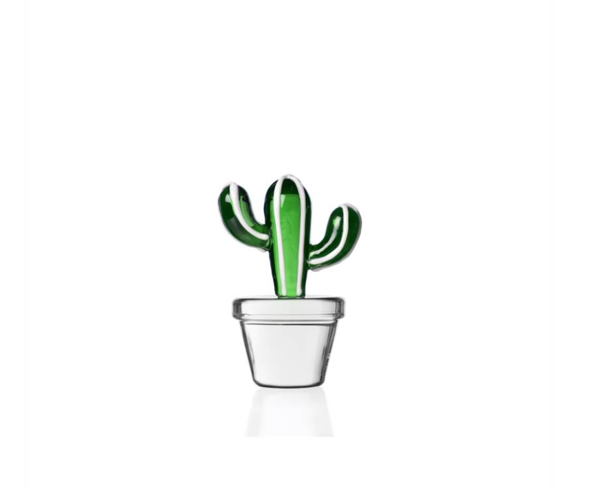 Cadeaux Cactus Green