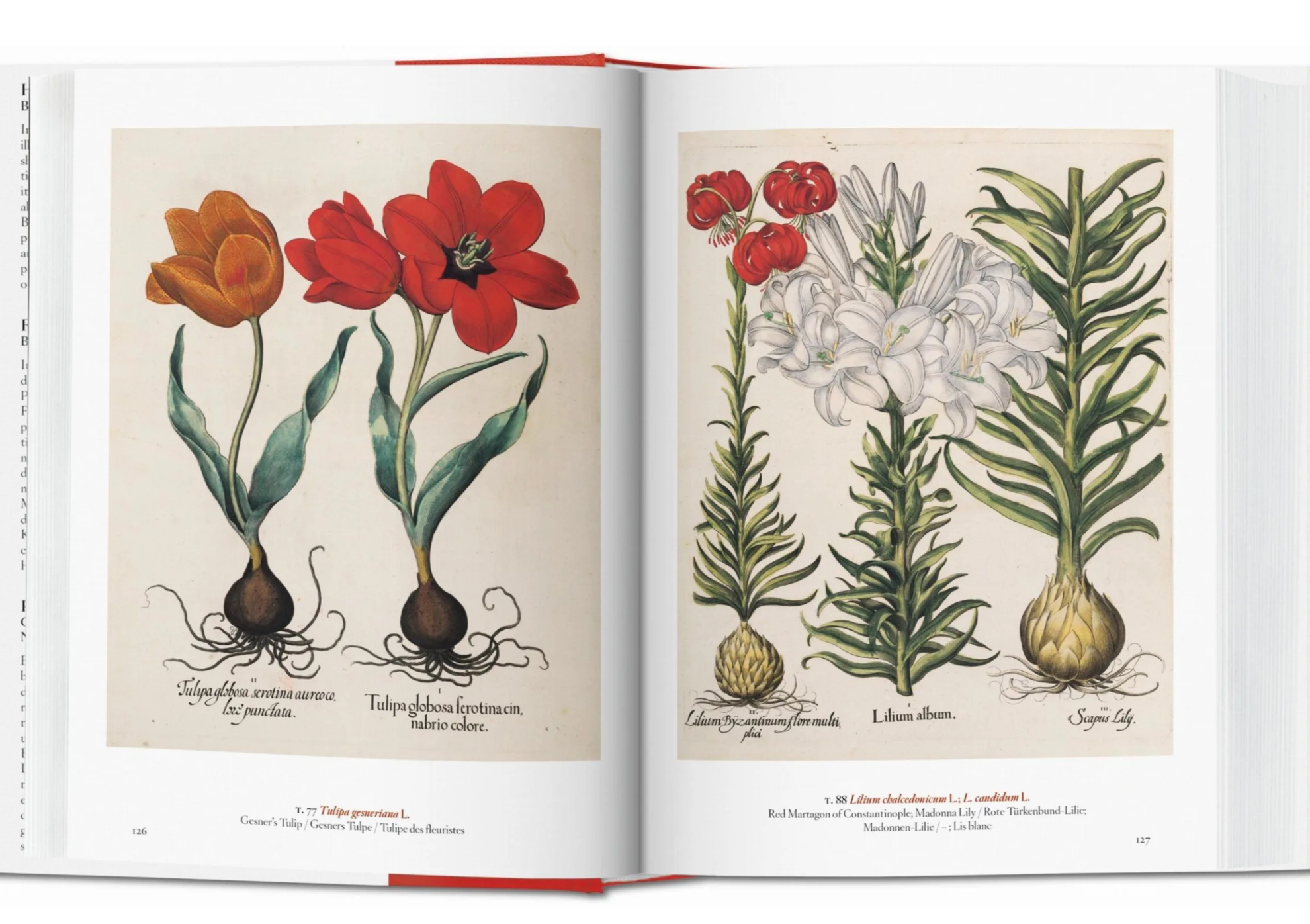 Garden Eden Mmasterpieces of Bo