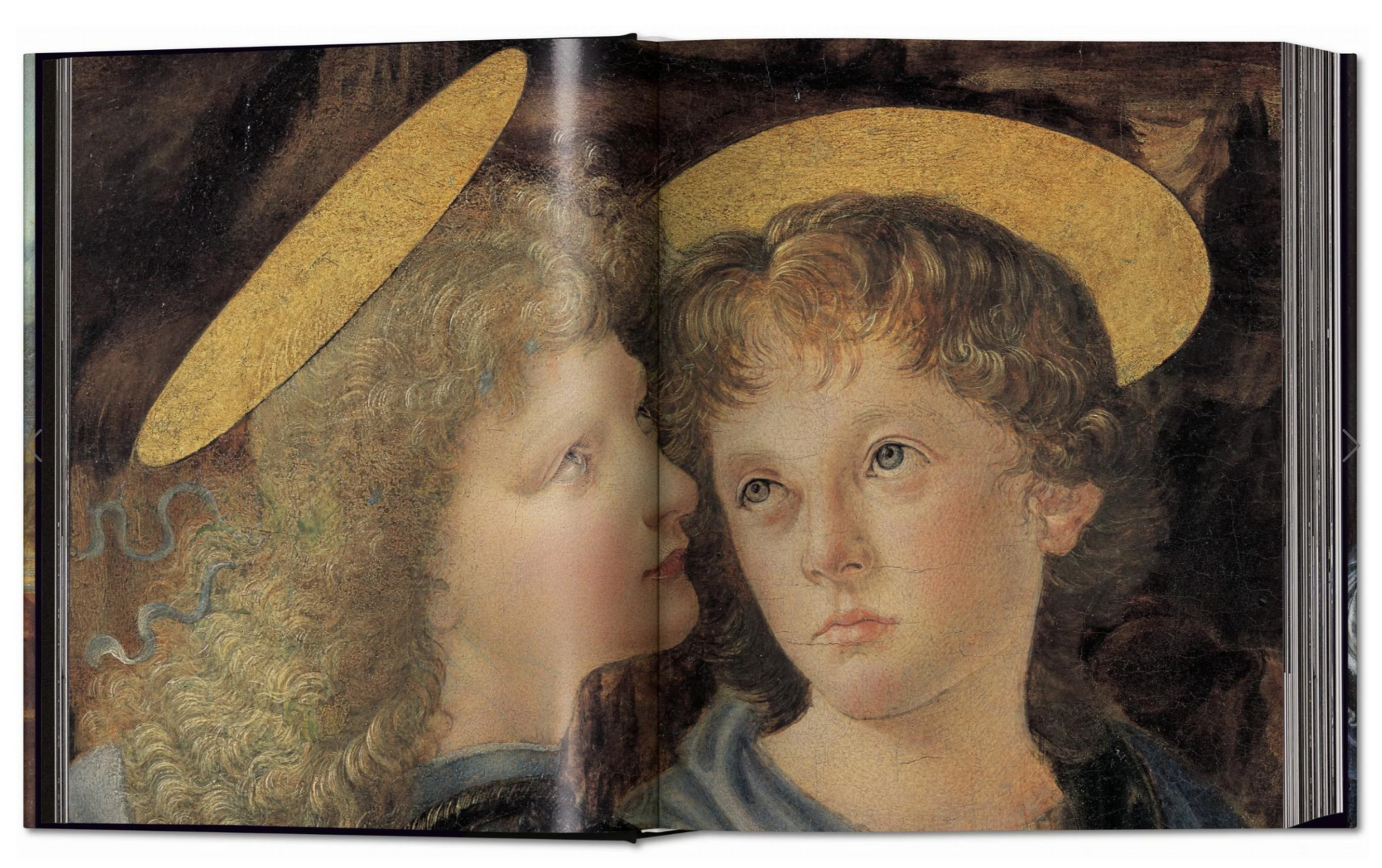 Leonardo The Complete Paintings and Drawings