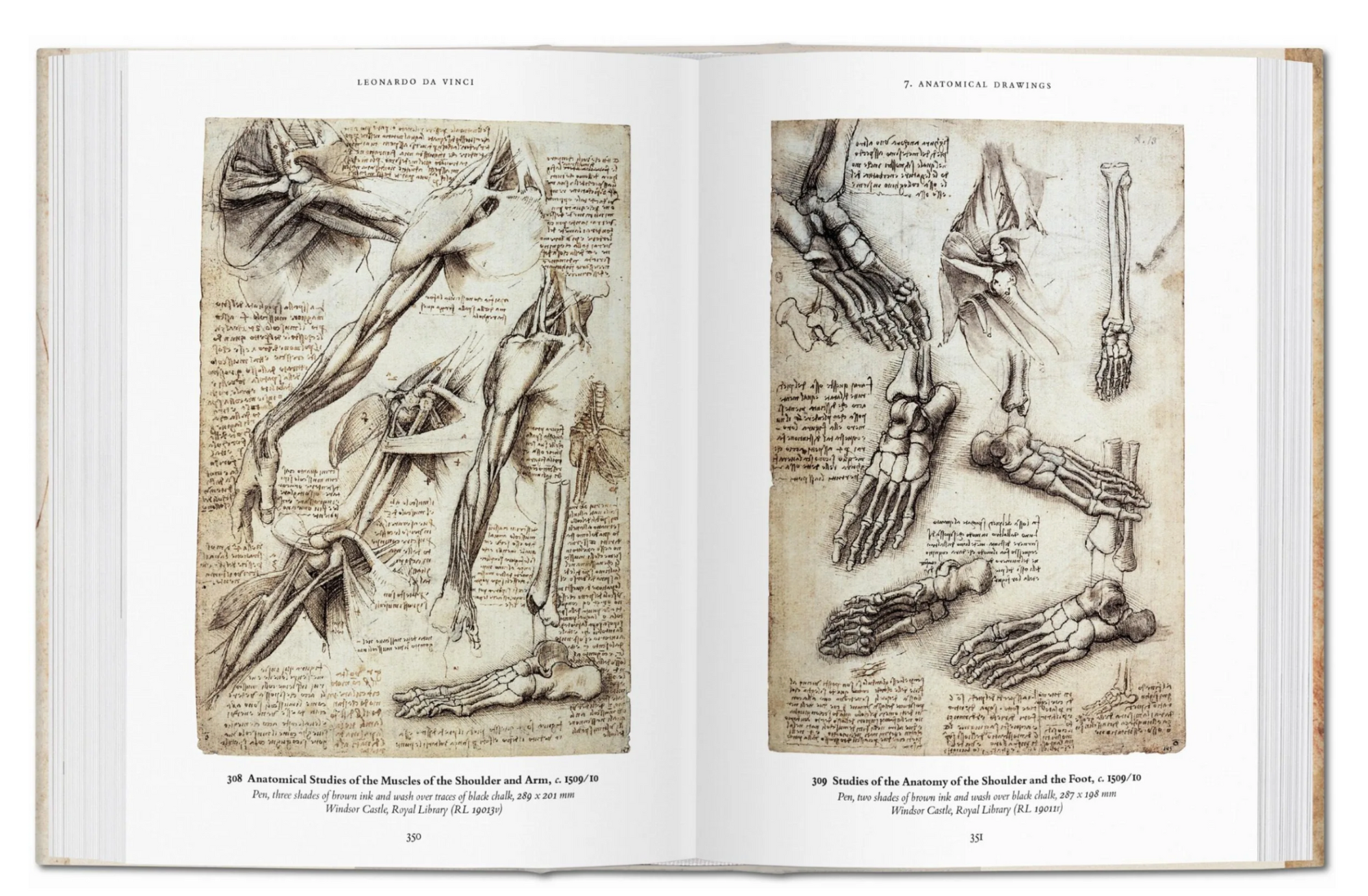 Leonardo The Comp Drawings