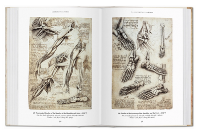 Leonardo The Comp Drawings