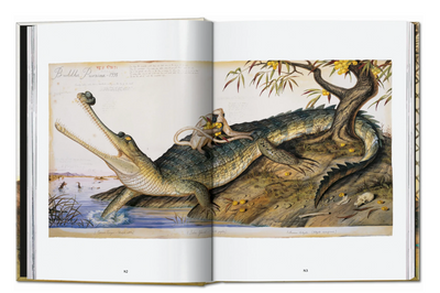 Walton Ford 40th Ed