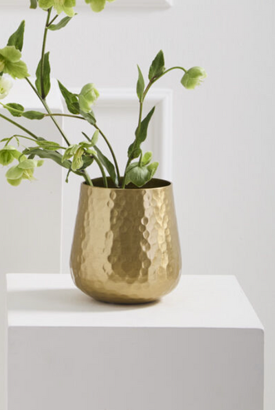 Hux Pot Gold