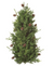 Cedar Pine Cone Topiary Green Brown