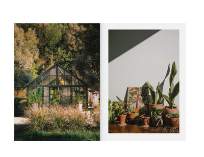 The Kinfolk Garden