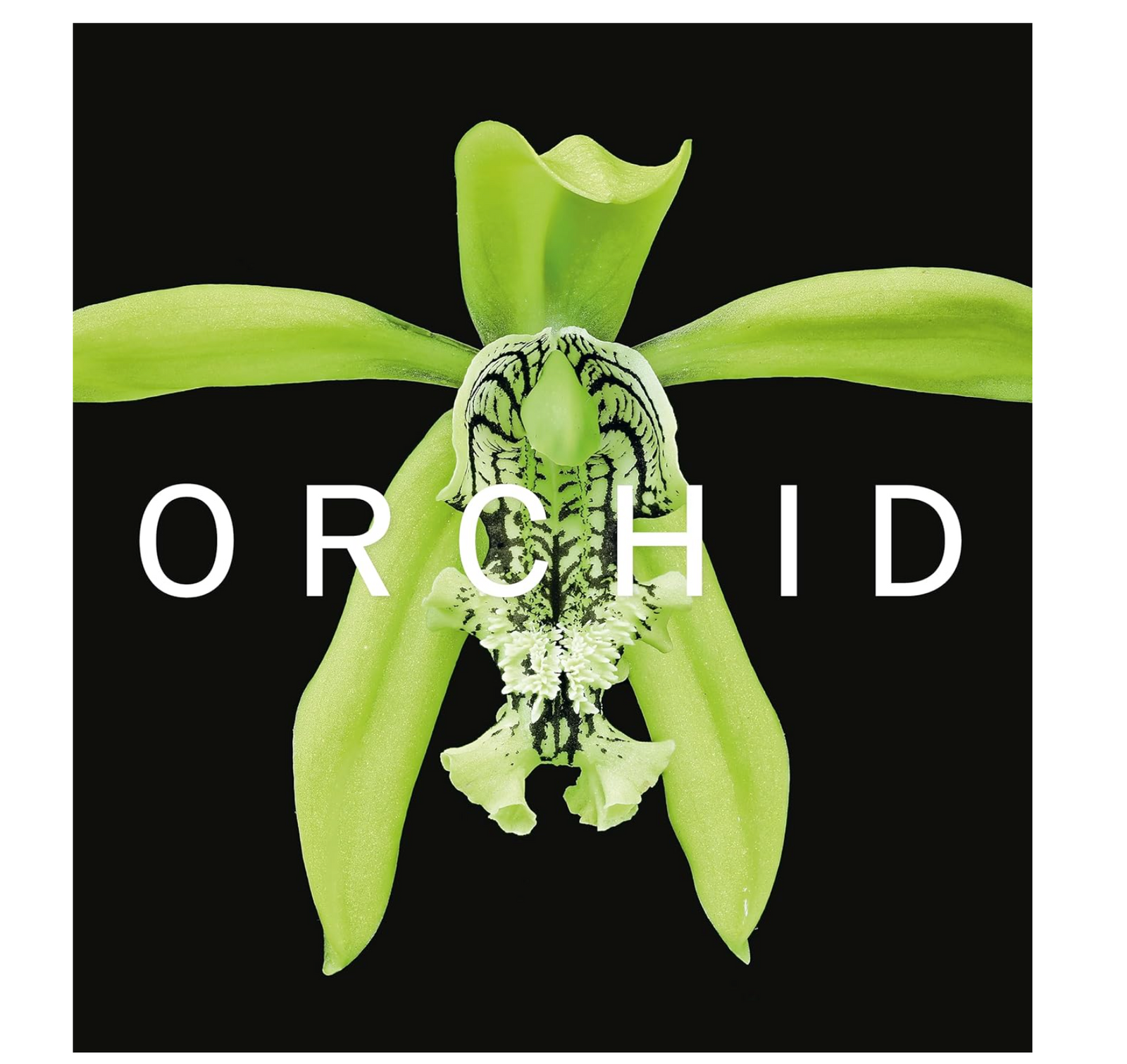 ORCHID: Marie Selby Botanical Gardens