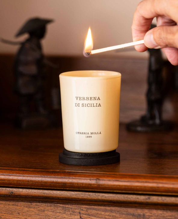 Vaso Mini Verbena Di Sicilia