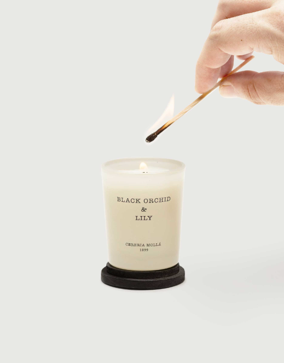 Vaso Mini Black Orchid Lily