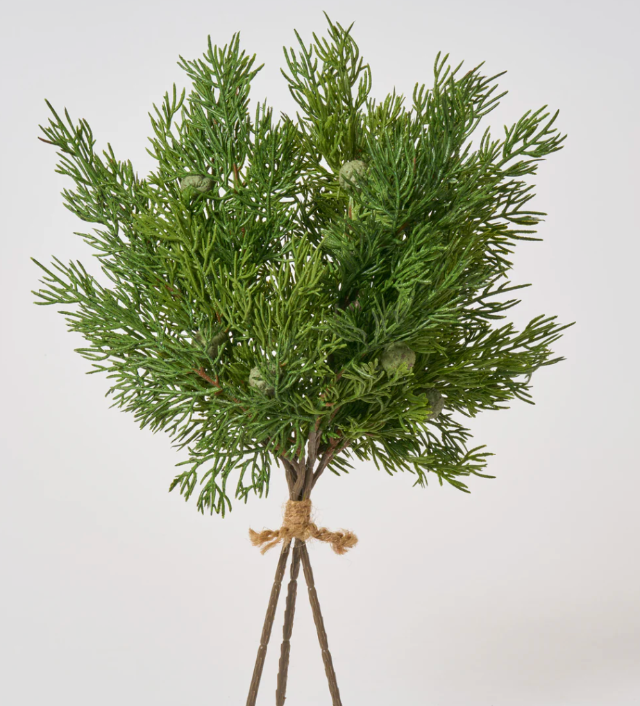 Juniper Bundle