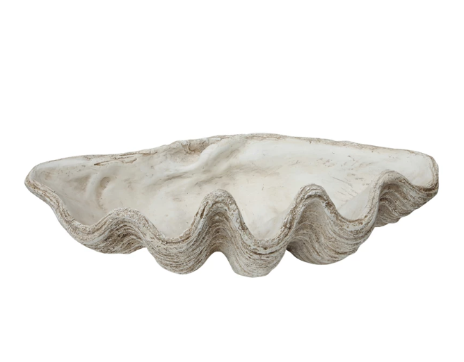 Magnesia Seashell Decor