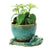 Stoneware Planter Frog Vase Green