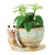 Stoneware Snail Planter