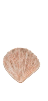 Stoneware Shell Dish