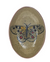 Dish w Insect