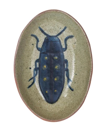 Dish w Insect