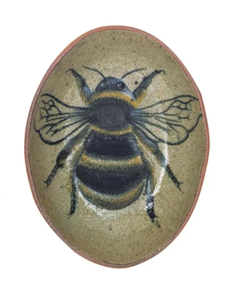 Dish w Insect