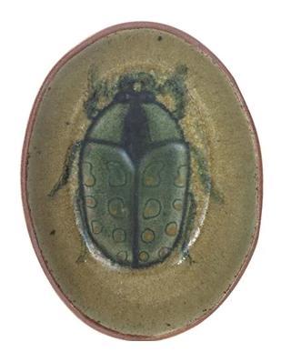 Dish w Insect