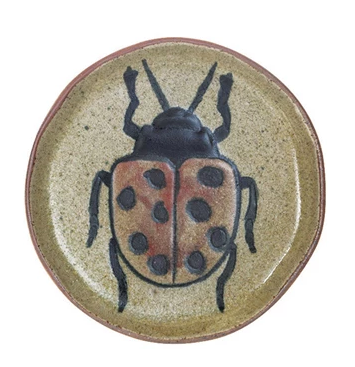 Plate Insect Bird