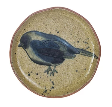 Plate Insect Bird