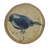 Plate Insect Bird