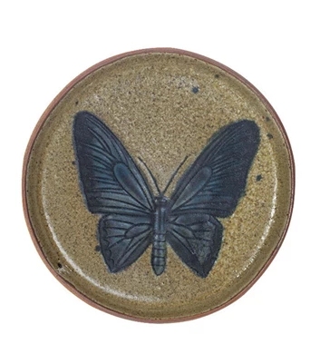 Plate Insect Bird