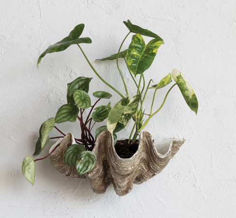 Decorative Resin Clam Shell Wall Container