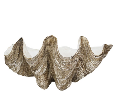 Decorative Resin Clam Shell Wall Container