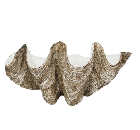 Decorative Resin Clam Shell Wall Container