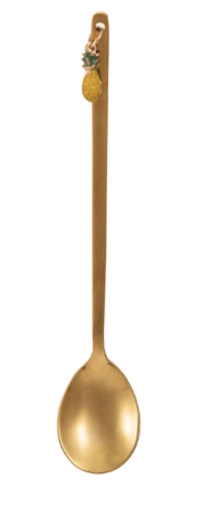 Steel Spoon