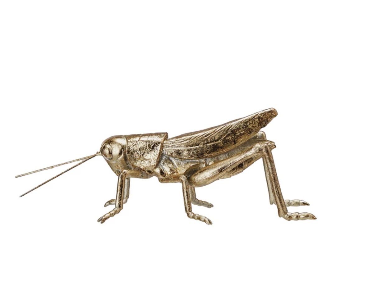 Resin Grasshopper w Gold leaf Finish