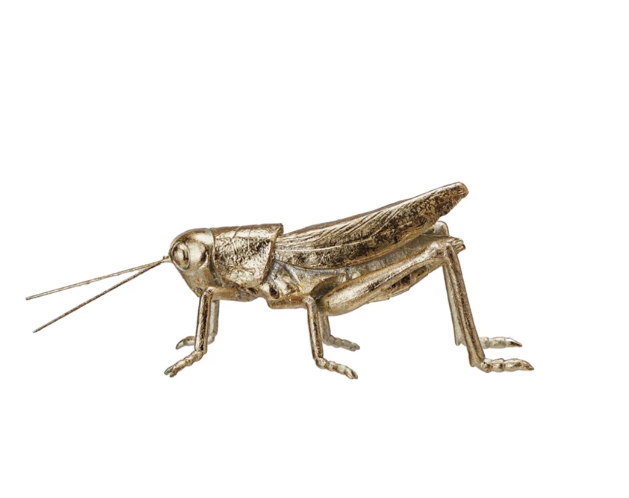 Resin Grasshopper w Gold leaf Finish