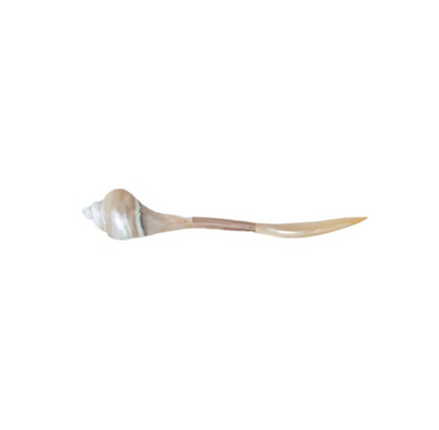 Natural Shell Spoon Iridescent Finish