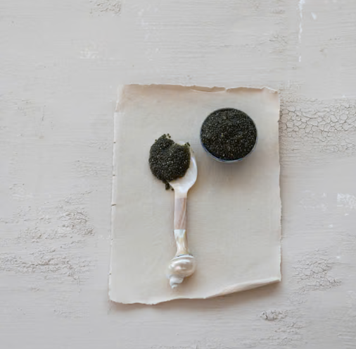 Natural Shell Spoon Iridescent Finish