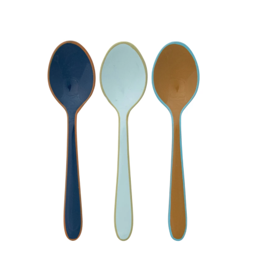 Enameled Stainless Steel Spoon