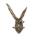 Cast Aluminum Rabbit Head with Monocle Mustache