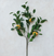 Faux Lemon Tree Branch