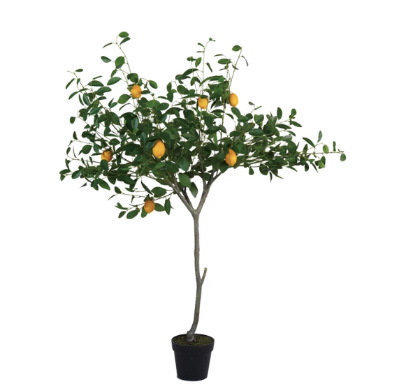 Faux Lemon Tree in Plastic Pot