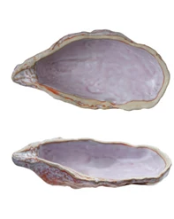 Oyster Shell Shaped Dish